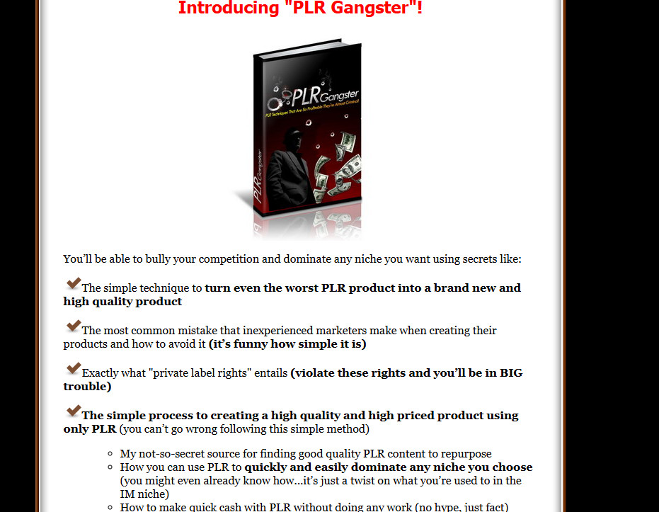Selling PLR E books, Guides & Courses Plus Splash Pages Make Cash Online Bundle