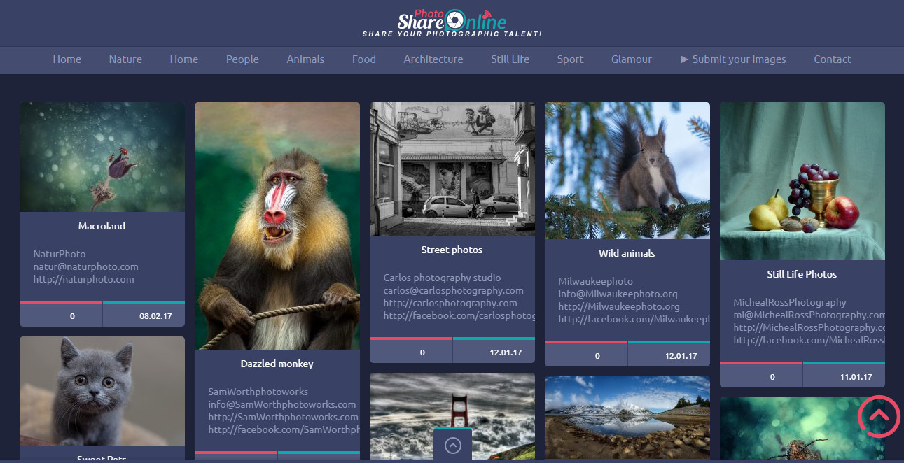Profitable PHOTO Sharing & Showcase Membership Business Website For Sale