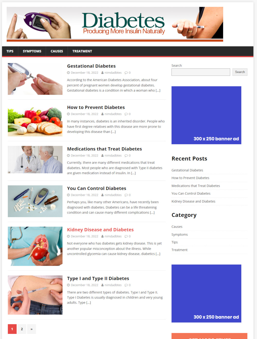Hosting and Support For Our Niche Affiliate Websites