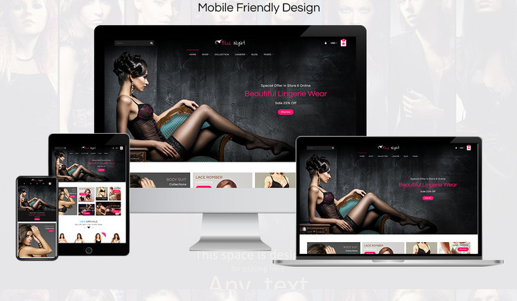 Lingerie Website Business | Luxury Sexy Underwear Dropshipping Store For Sale