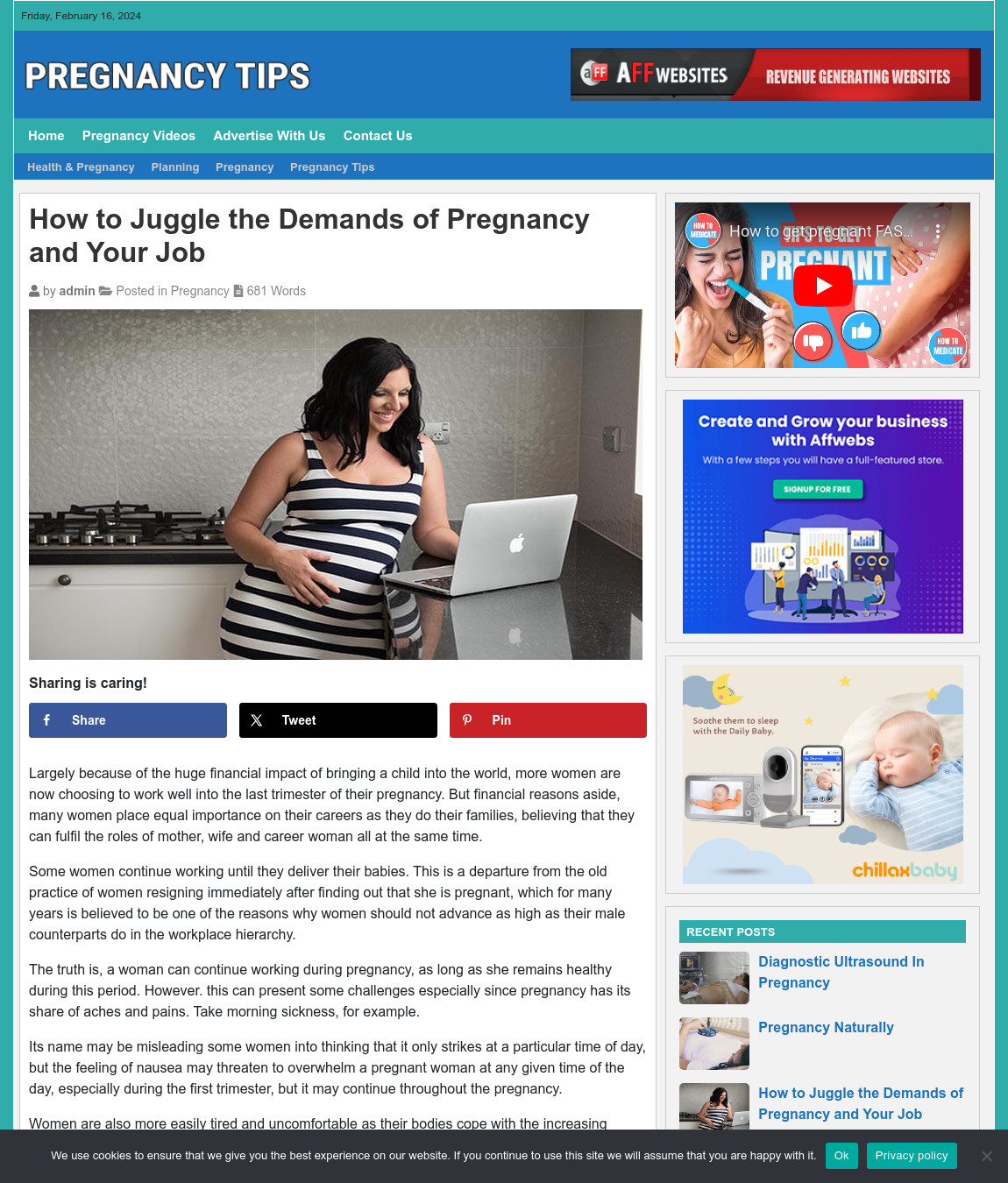 Pregnancy Tips Website Business For Sale: Ready-to-Launch with Free Installation