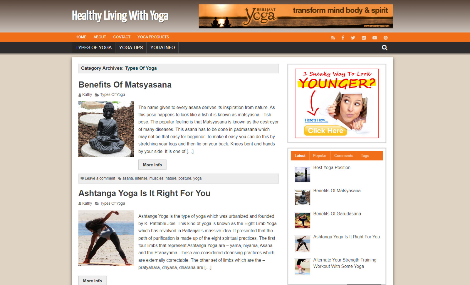 Healthy Living with Yog Niche Blog Website WordPress, Amazon ClickBank Business