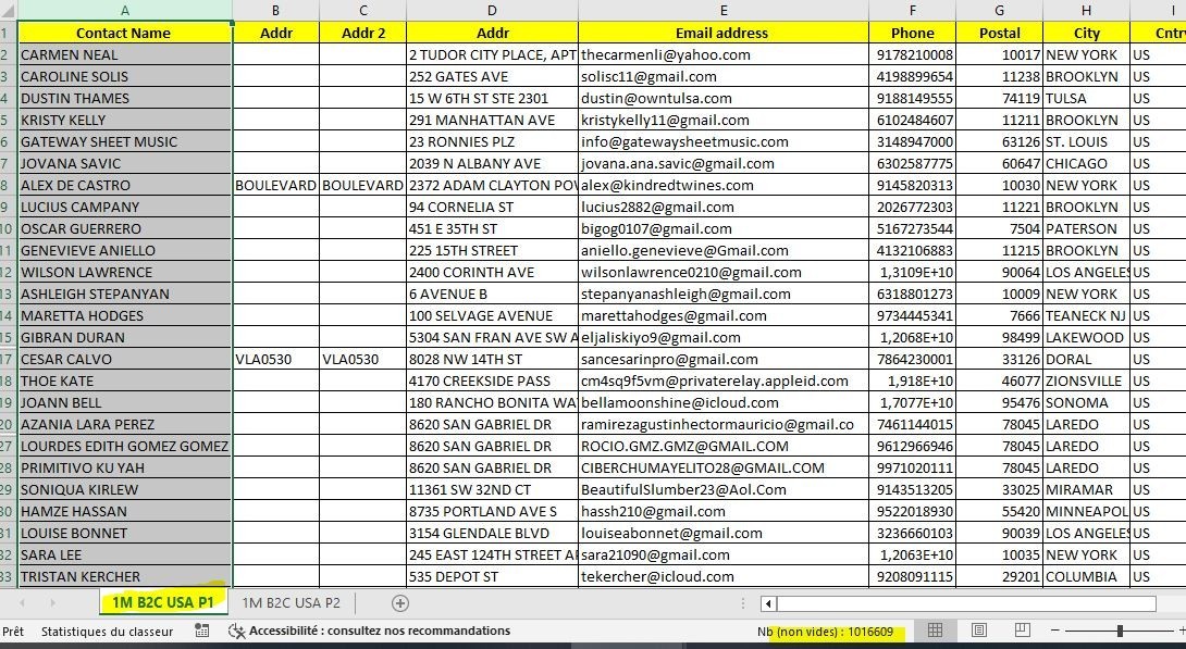 2 Million USA Customers Email Database – B2C Contact leads (Digital Download)