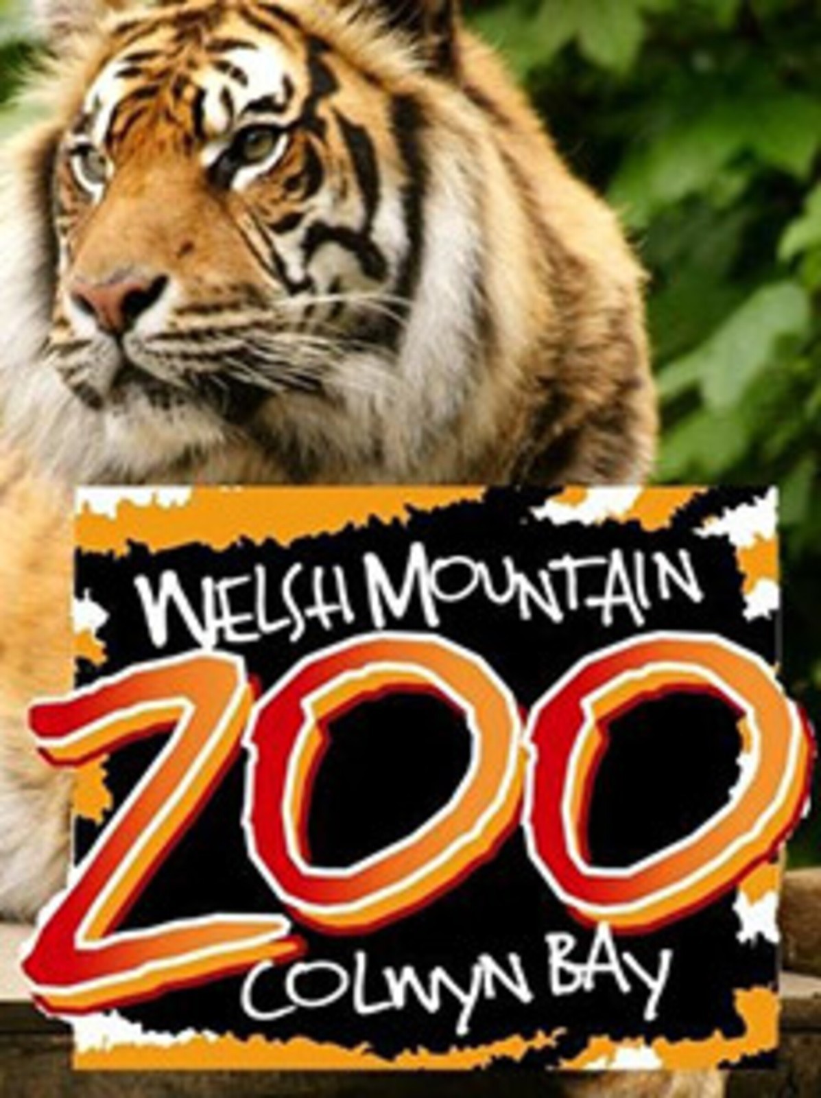 OPPORTUNITY SALE : UK Jungle Zoo Glamping Camping Pod Pitch Plot Land : FOR SALE