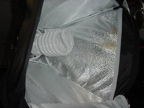 HUGE LIGHTING Pkg: FRESNELS, LED’S, SPOTS, KINO SOFT, HARD SOFT, BROADS. OFFERS.