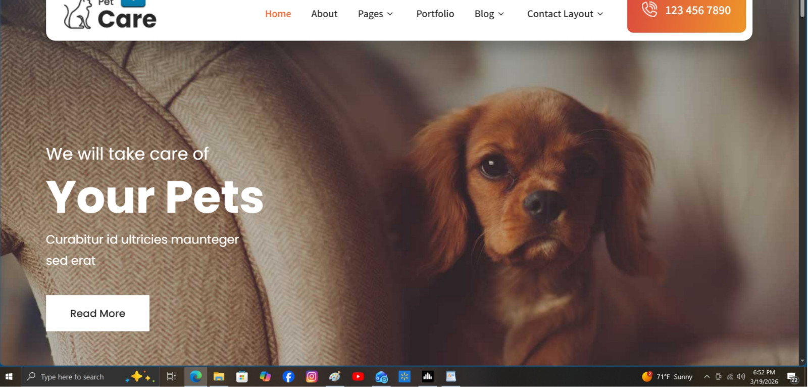 PET SITTER / WALKER/ SERVICES – Website for sale (For the self-employed)