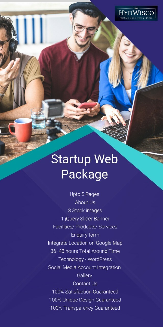 Professional Custom Website from HydWisco Digital!