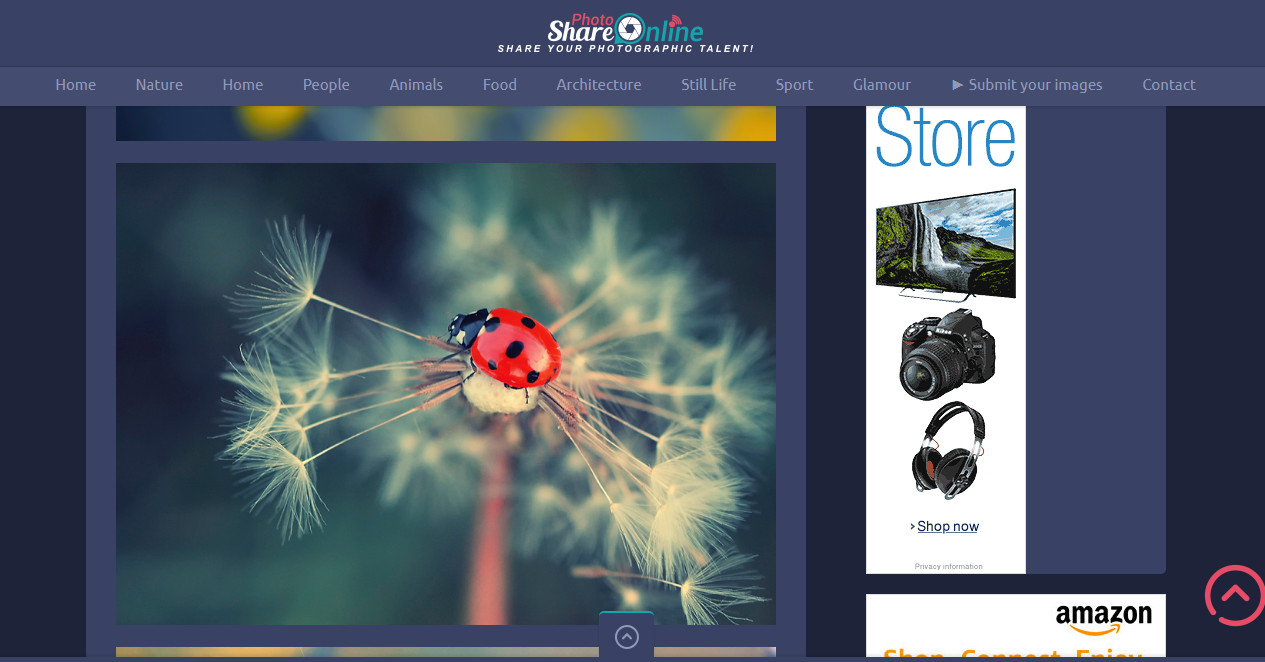 Profitable PHOTO Sharing & Showcase Membership Business Website For Sale