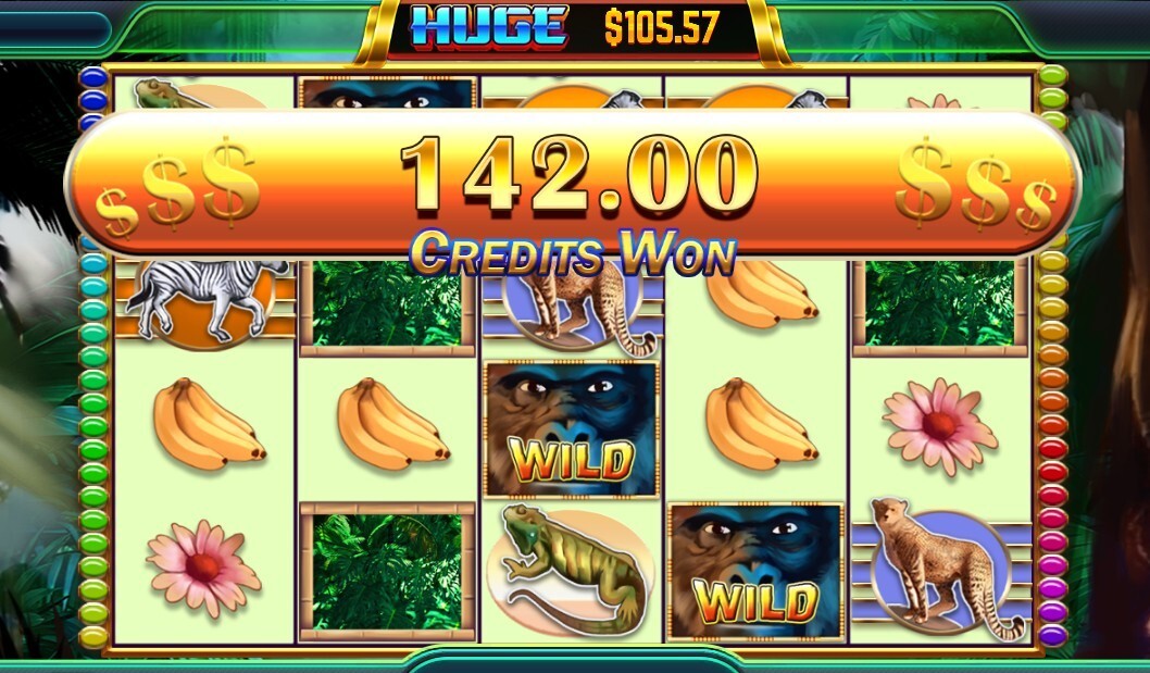 TaiChiMaster Casino Software-Launch Your Own US Legal Gambling Platform.