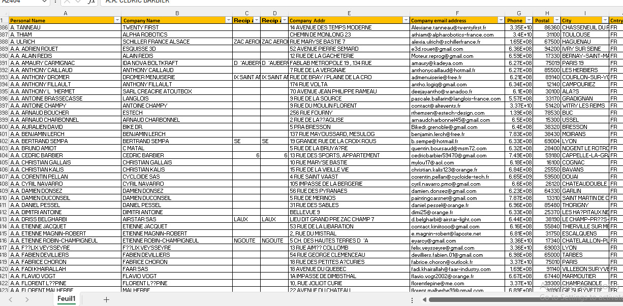 1 Million FRANCE Business Email Database list – B2B Contact leads | Excel CSV