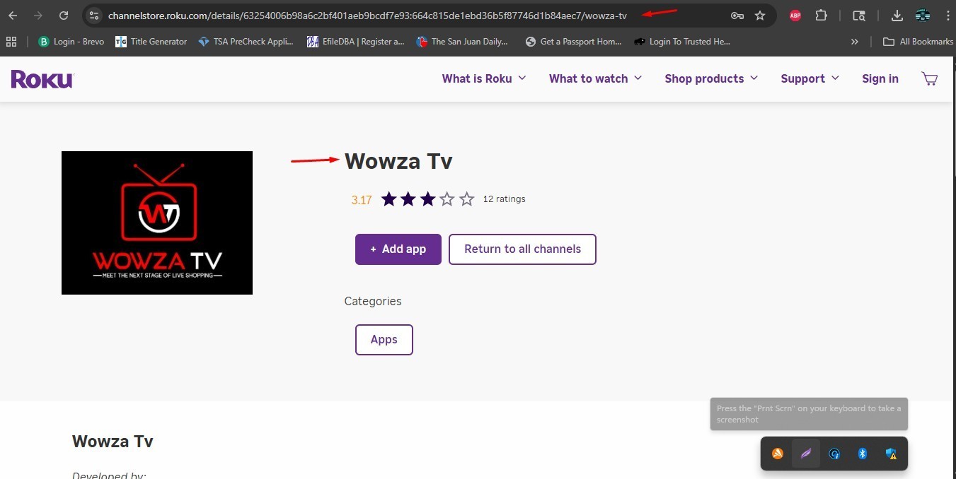 Drive Engagement by Launching Your Roku Internet TV Business Today