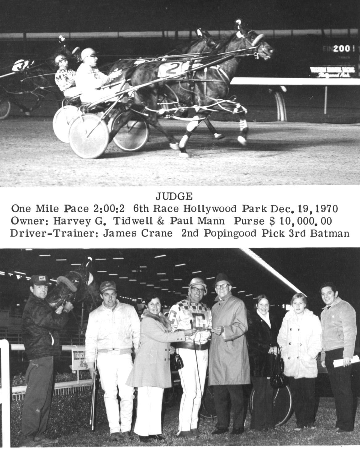 HarnessRacing.WS INTERNET DOMAIN HARNESS HORSE RACING STANDARDBRED HORSE HISTORY