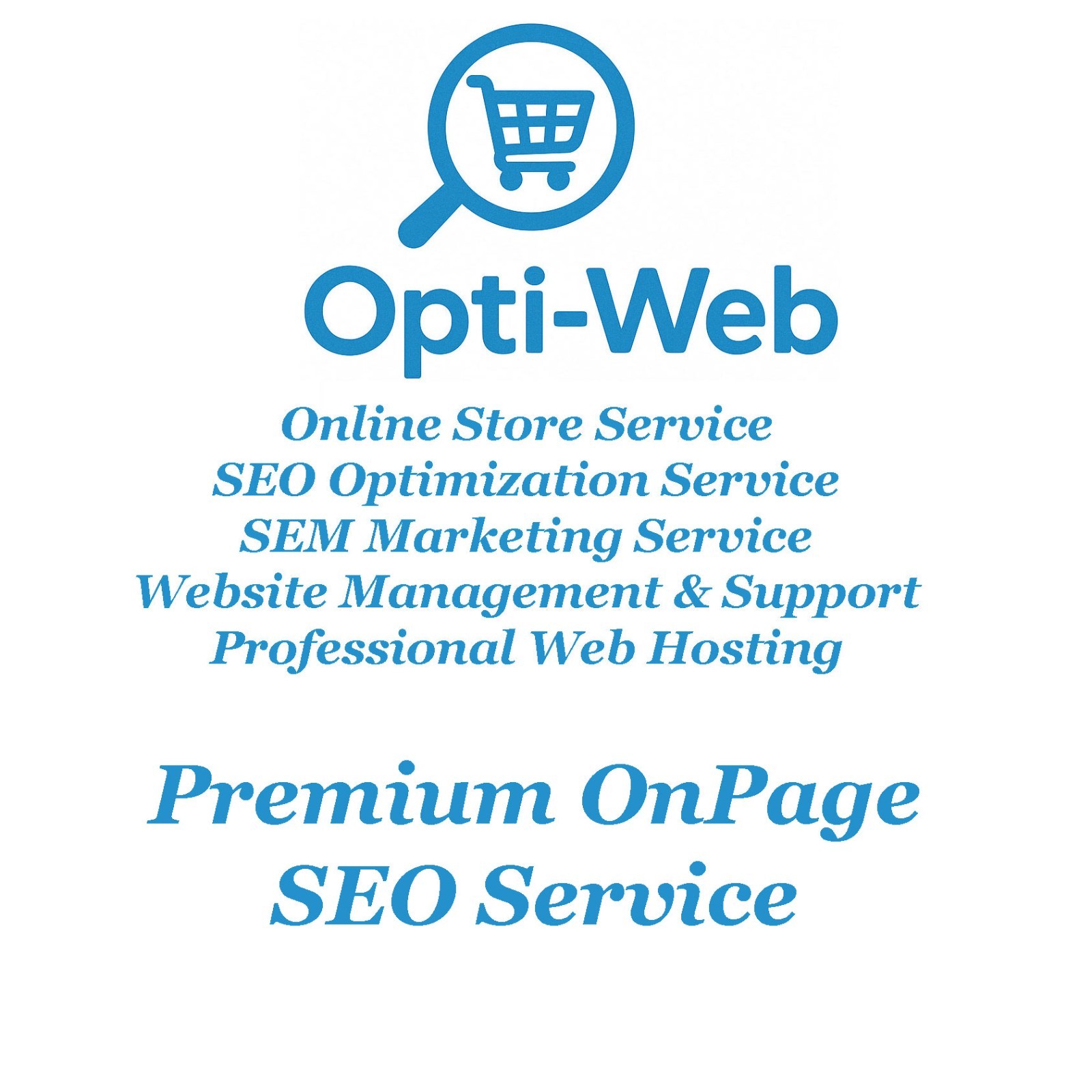 SEO Optimization for 1 Shop Product – Title, Meta, Keywords & URL