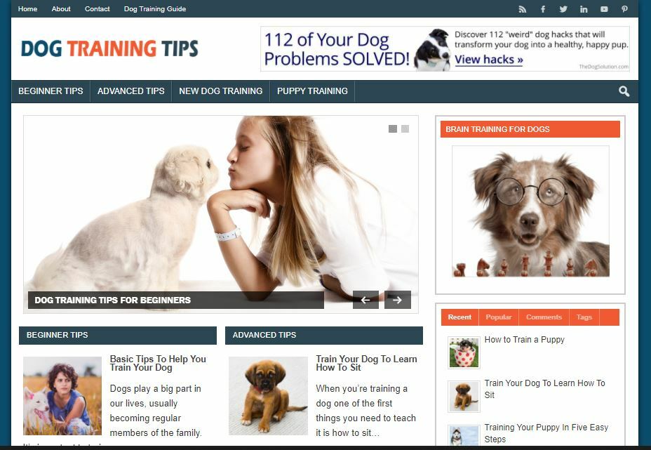 Dog Training Niche Affiliate Website – Work Online From Home Internet Business