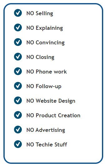 Internet Business Website For Sale