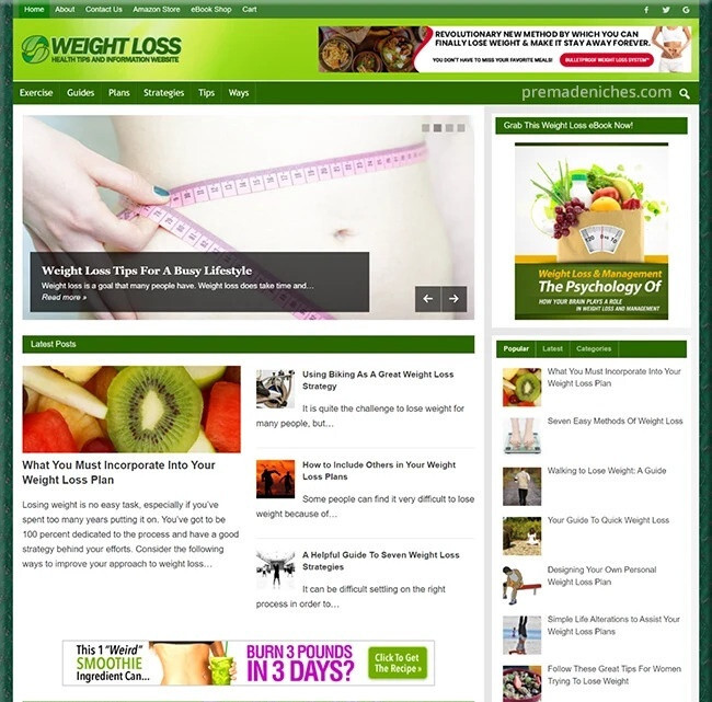 Pre Made Weight Loss Diet Blog with Powerful Theme| Amazon Clickbank Business