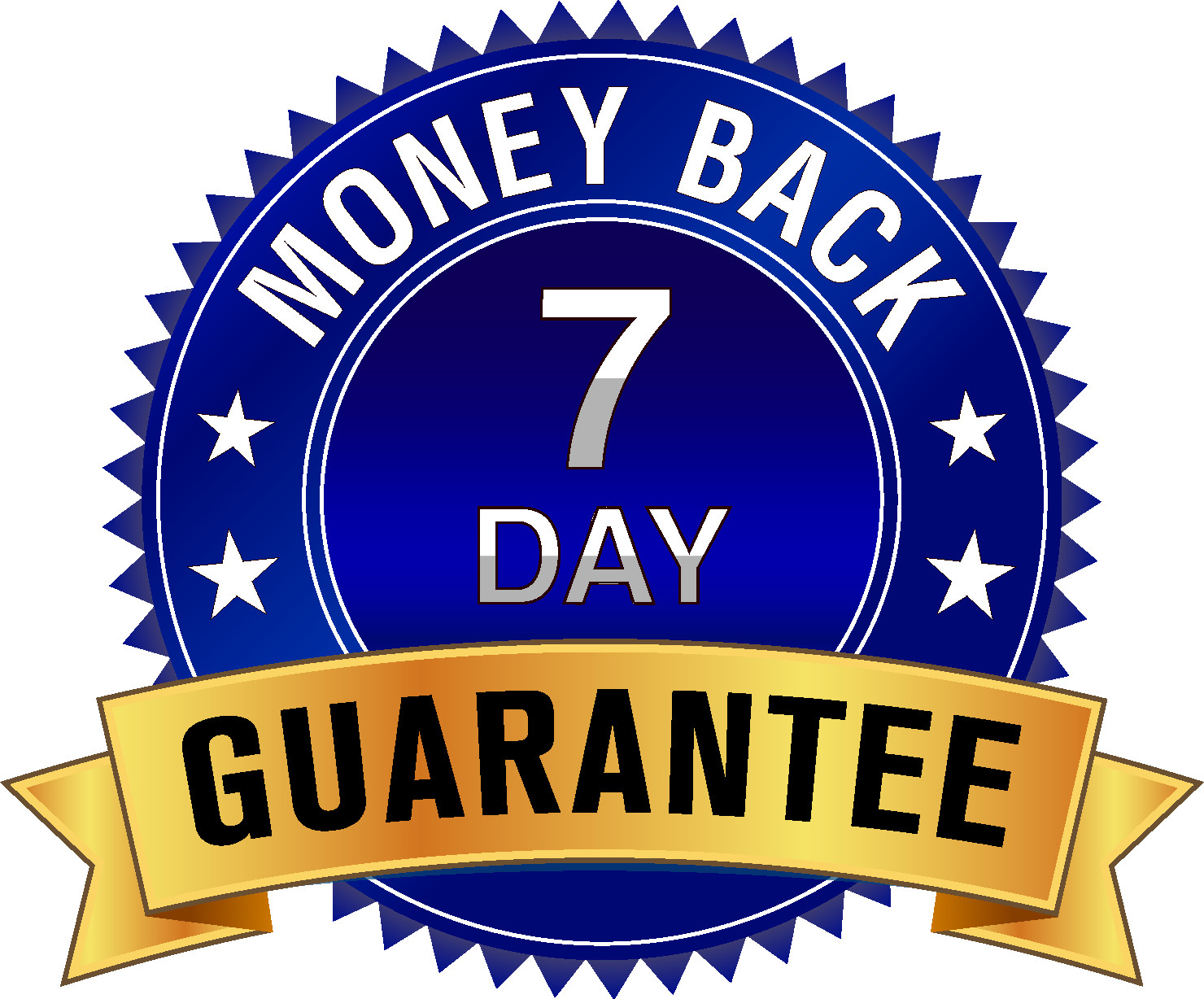 Create Your Own Professional Internet Radio Business ! + 1 MONTH FREE HOSTING