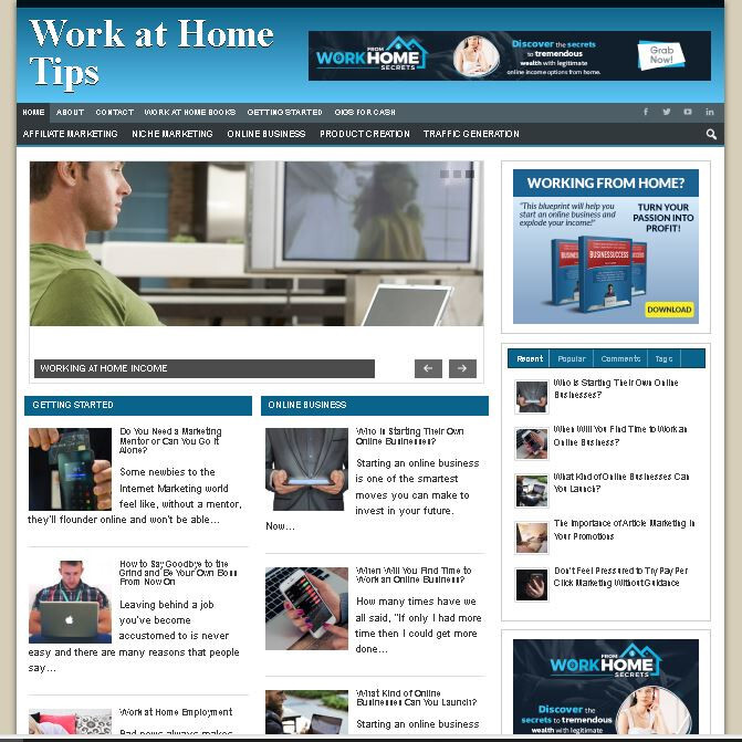 4 Premade Niche Websites – Infertility Blog, Credit Repair, Work from Home, Make