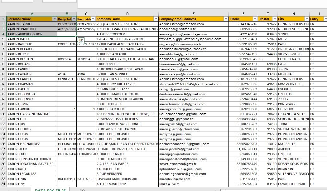 1 Million FRENCH Customers Email Database – B2C Contact leads (Excel file) 2026