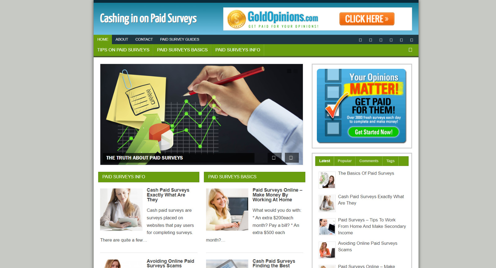 Cash in on Paid Survey Niche Blog Website WordPress, Amazon ClickBank Business