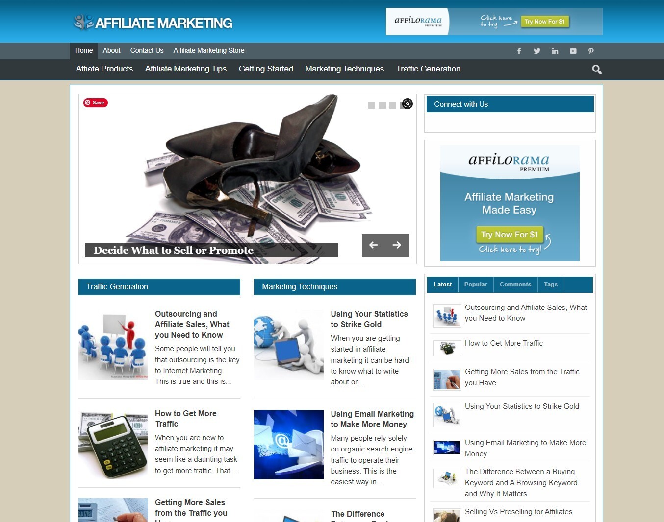 Affiliate Marketing Niche Blog Website WordPress, Amazon and ClickBank Business
