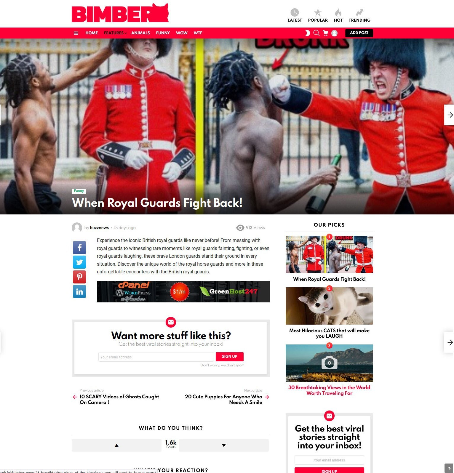 Viral Buzz News Website + Free Installation