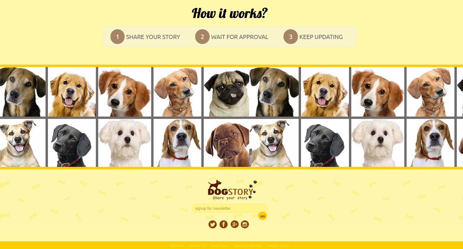 Dog Social Community Website Free Installation + Free Hosting