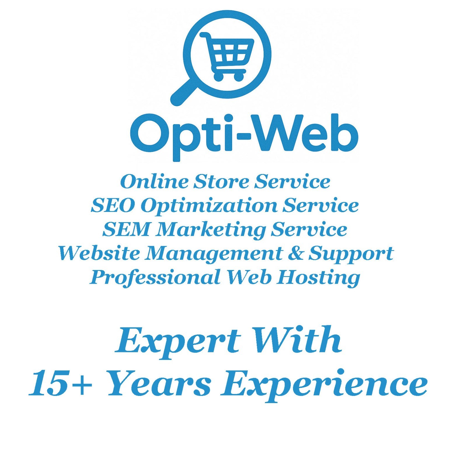 SEO Optimization for 1 Shop Product – Title, Meta, Keywords & URL