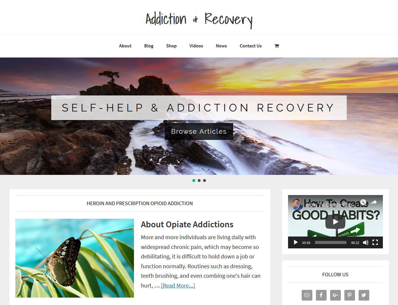 * RECOVERY & ADDICTION * store blog website business for sale with AUTO CONTENT