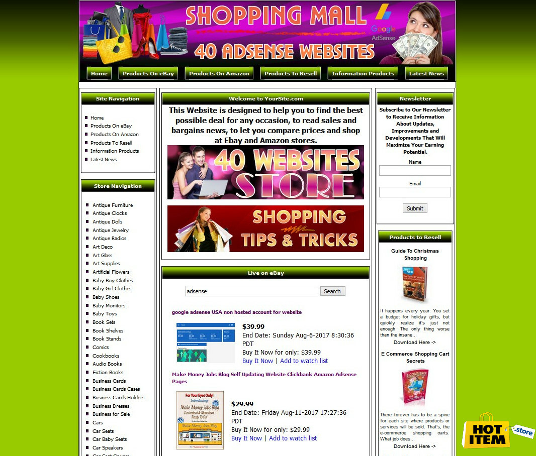 40 GOOGLE ADSENSE AUTOMATED WEBSITES STORE FOR SALE