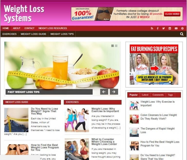 Weight Loss Systems Ready Made Blog Turnkey Niche Website Business for Sale