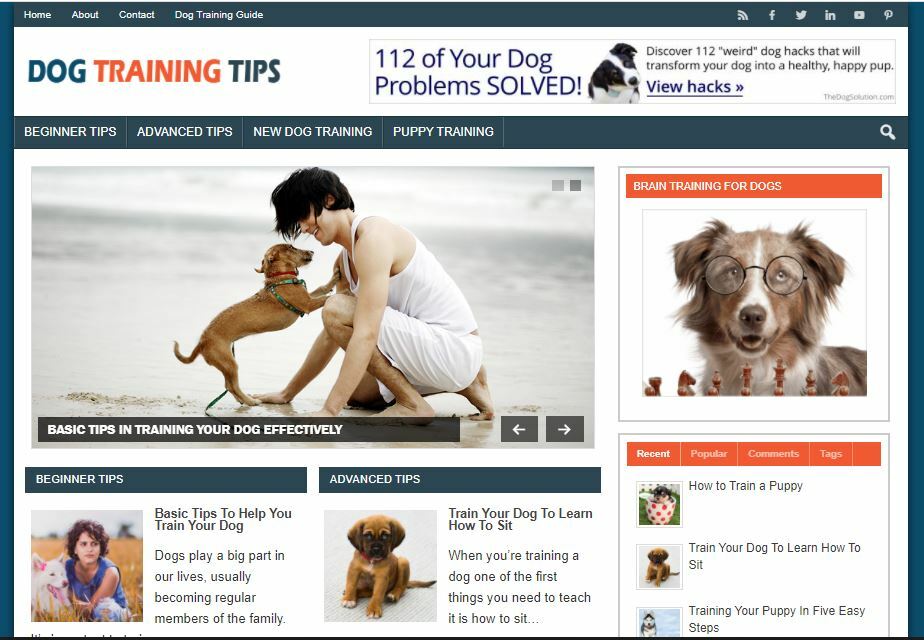 Dog Training Niche Affiliate Website – Work Online From Home Internet Business