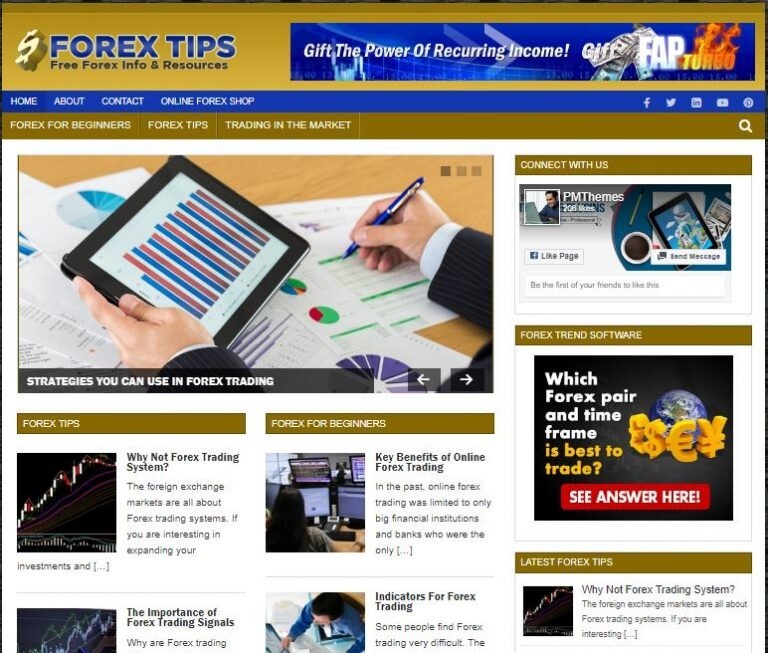 Forex Tips Ready Made Blog Turnkey Niche Website Business for Sale