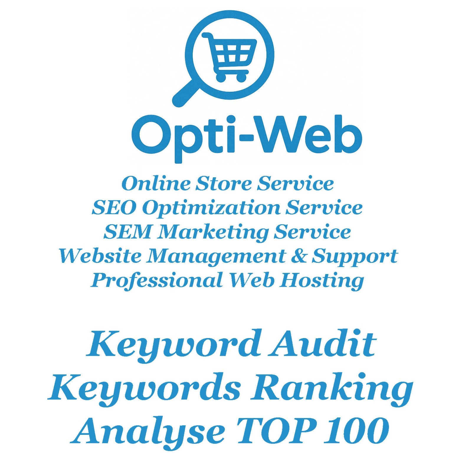 Keyword Audit – Find & Analyse All Your Keywords Ranking in Google TOP 100