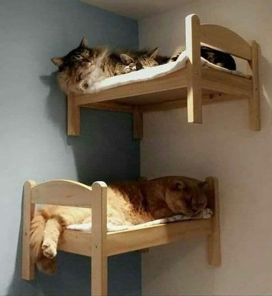 800 +DIY wooden artcrafts and unique furnitures you can do at home use or sell