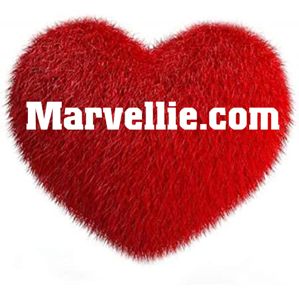 Marvellie.com – 1 Word Domain – Short Domain Name – Premium Brandable Name .COM