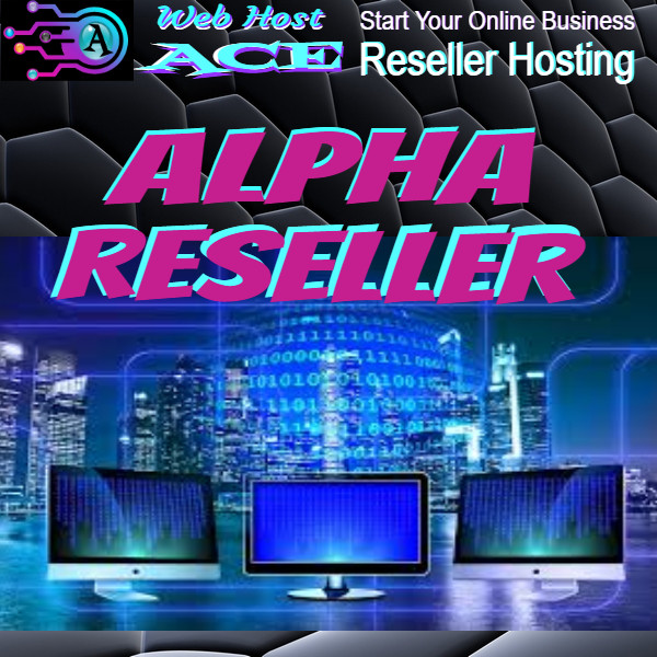 Ready Made Best Web Host Blog Turnkey Niche Website/Blog EZ to Run & Customize