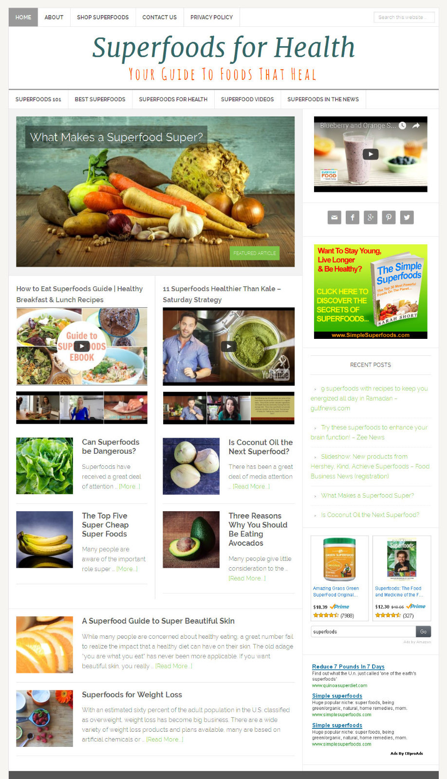 * SUPERFOODS * health blog niche website business for sale AUTOMATIC CONTENT!