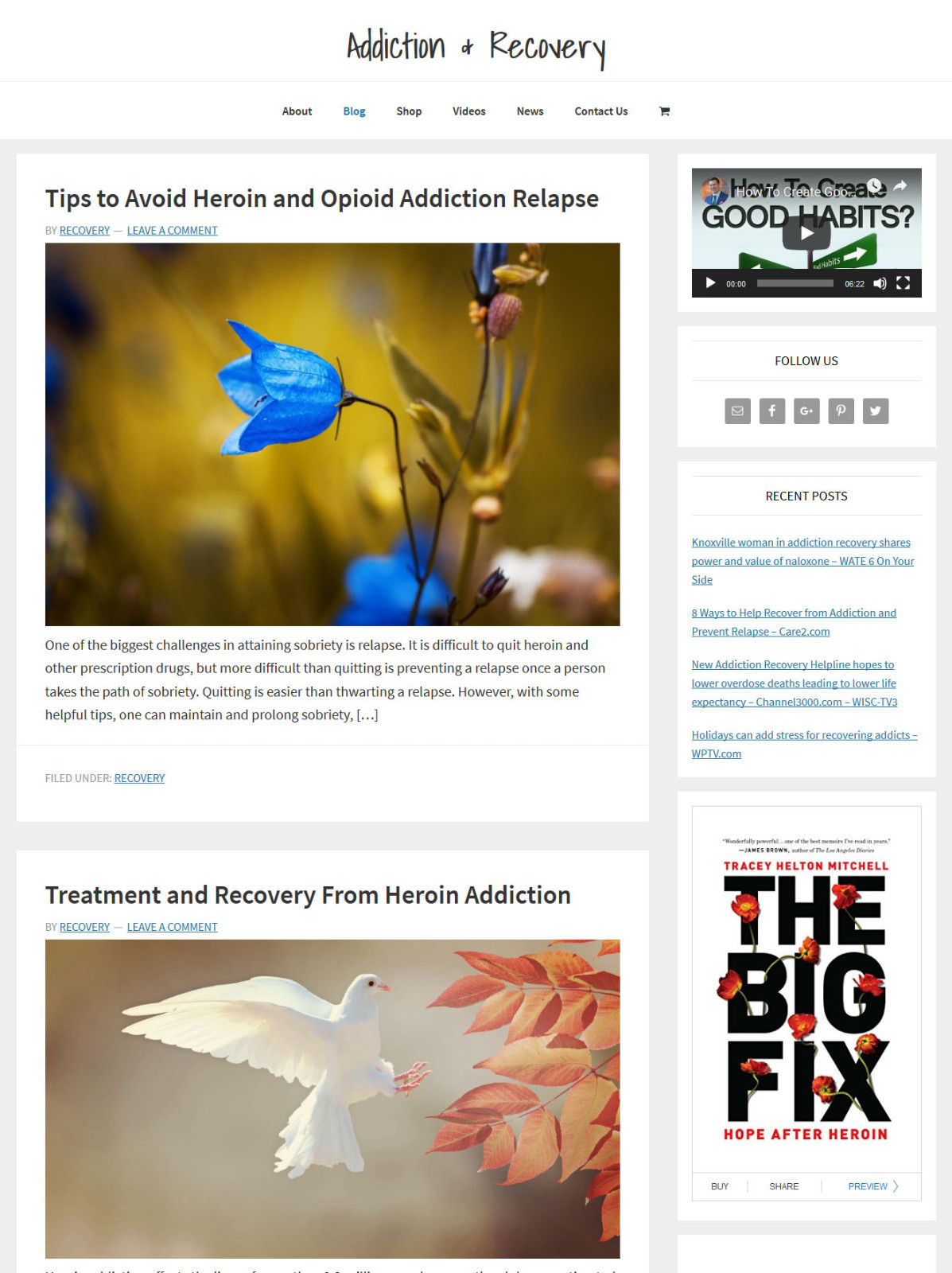 * RECOVERY & ADDICTION * store blog website business for sale with AUTO CONTENT