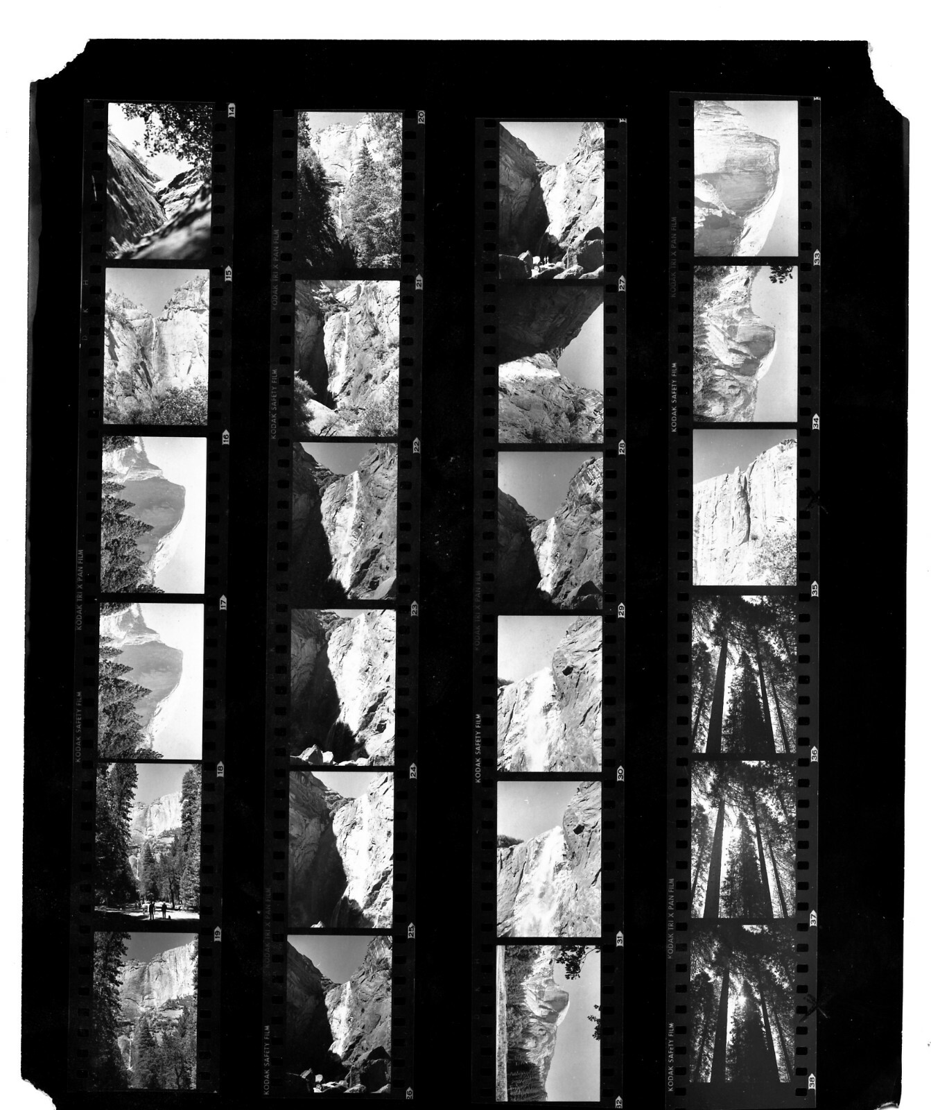 Business Opportunity – Yosemite 35mm Black and White Negatives