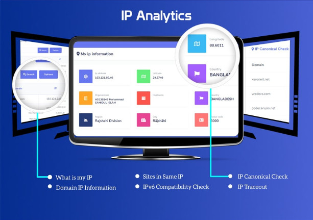 Premium Profitable website Visitor Analytics & SEO Tools website (SaaS) Platform