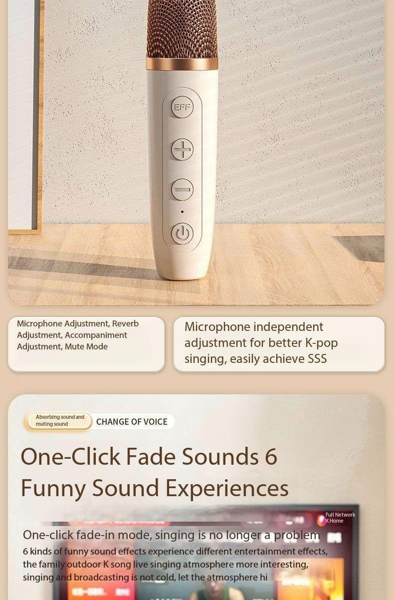 Home KTV audio set with wireless microphone for karaoke