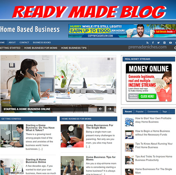 Hosting EZ MadeSites WP Phox Theme Turnkey Website Optional Reseller Hosting 2