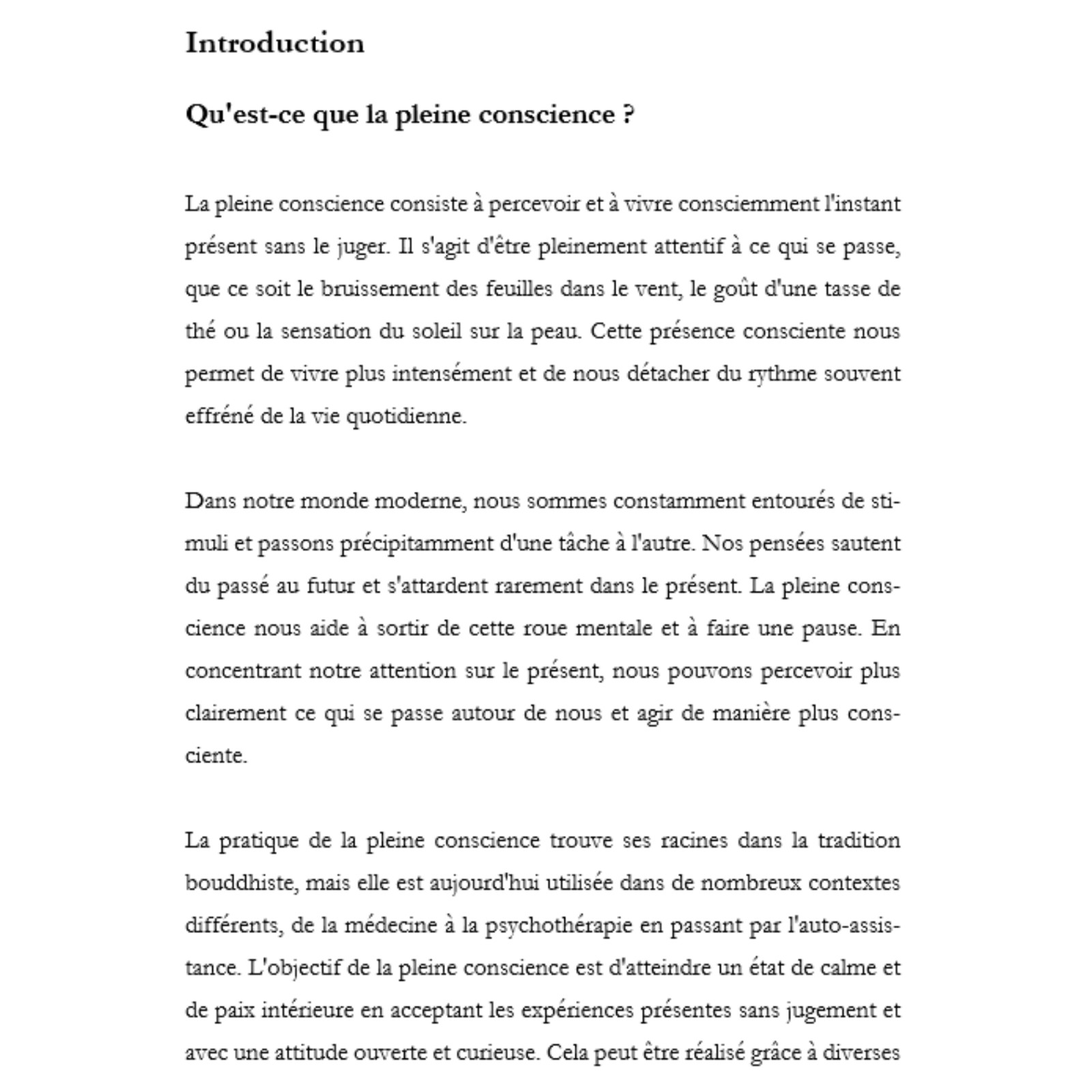 Les 9 chemins de la pleine conscience 32k mots e-book PLR exclusif