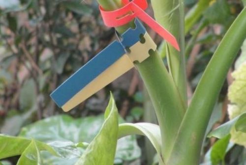 120PCS Wrap around tree tags 8″x3/4″ vinyl plastic nursery plant label #M1493 QL