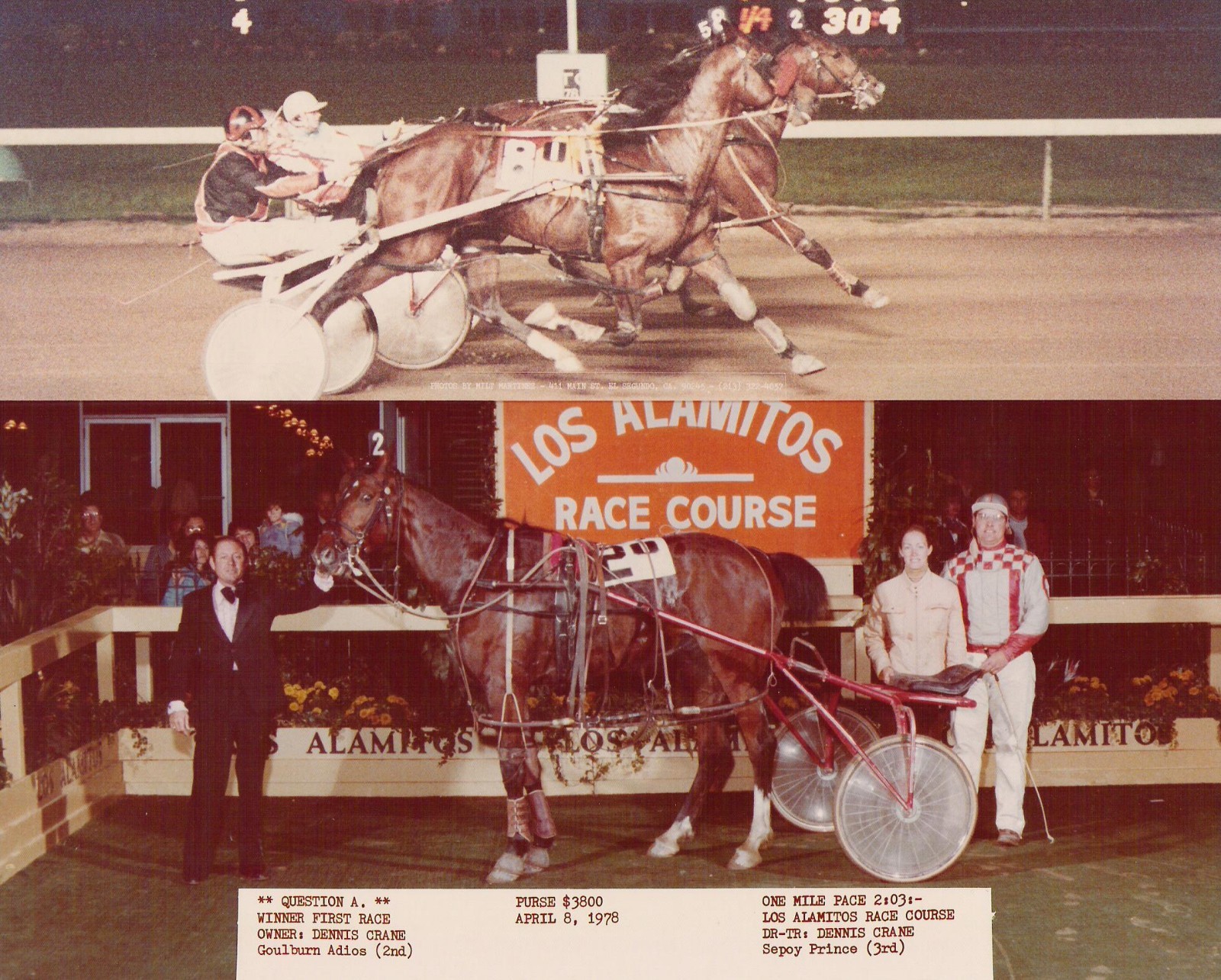 ChristianHorsemen.com INTERNET DOMAIN HARNESS HORSE RACING STANDARDBRED HORSEMEN