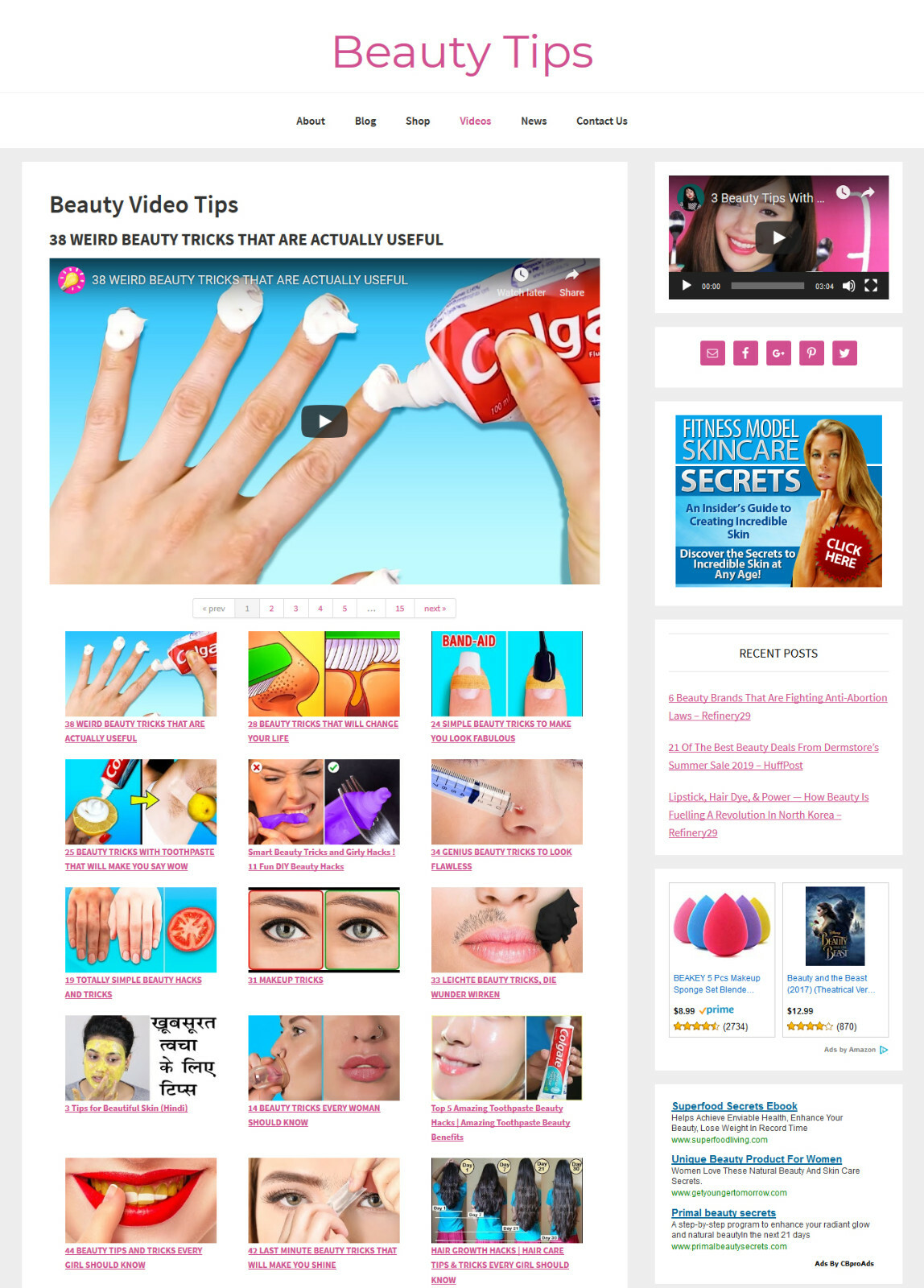 Stunning * BEAUTY TIPS * blog niche website business for sale AUTO UPDATING!