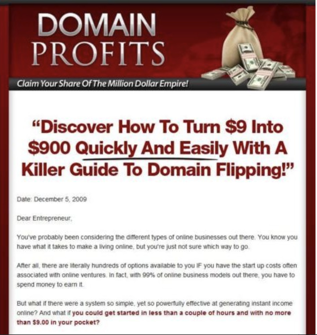 🥇 Established Domain Profits Ebook Website