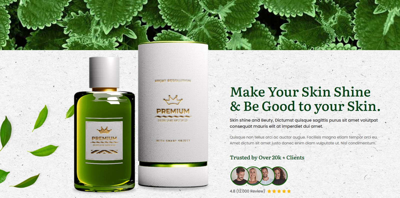 Beautiful & Stunning Health & Beauty Brand Elementor Template Kit ⭐GPL⭐ Rosemary