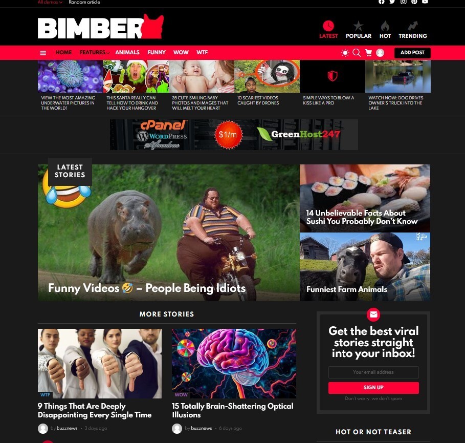 Viral Buzz News Website + Free Installation